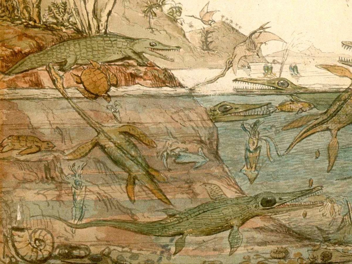 Duria-Antiquior-original-De-La Beche-detail